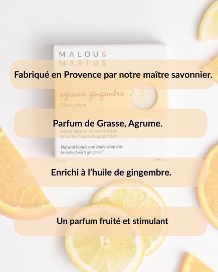 CITRUS, GINGER SOAP