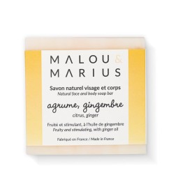 CITRUS, GINGER SOAP